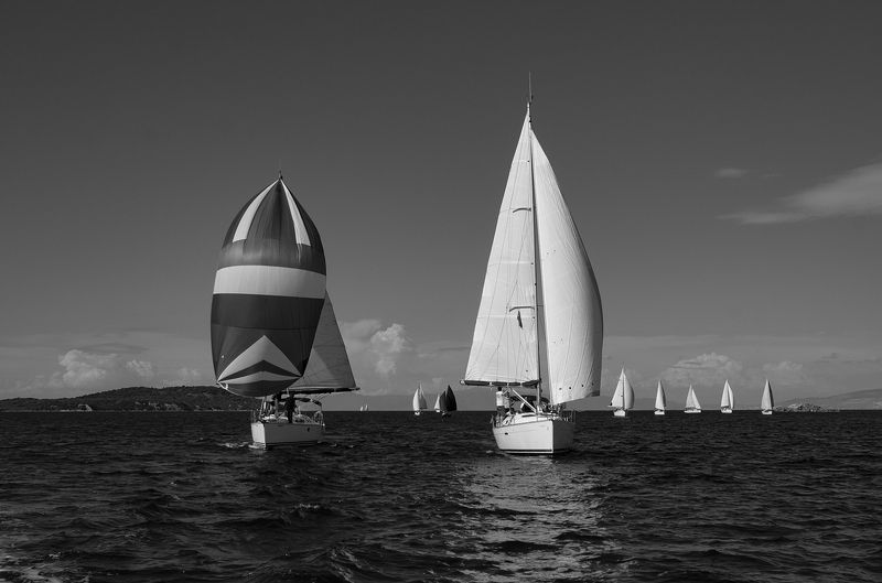 sail,sailing,sea,sky,boats,blue, Sailphoto preview