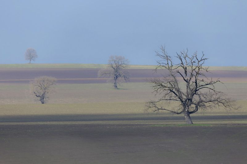 Исмаиллинский район Азербайджанphoto preview