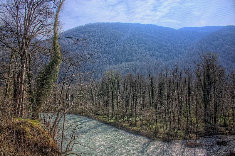 вода, горы, деревья, лес, река, дерево вдали от цивилизацииphoto preview