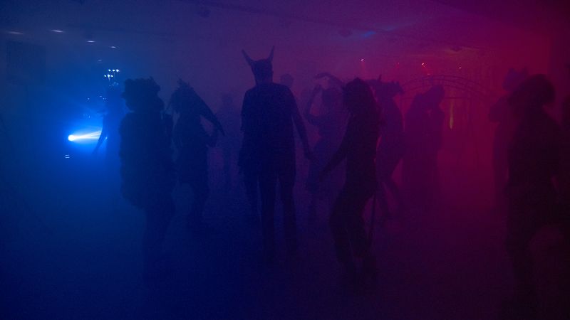 вечеринка, животные, костюмы, маскарад, цвет, Вечеринка животных.photo preview