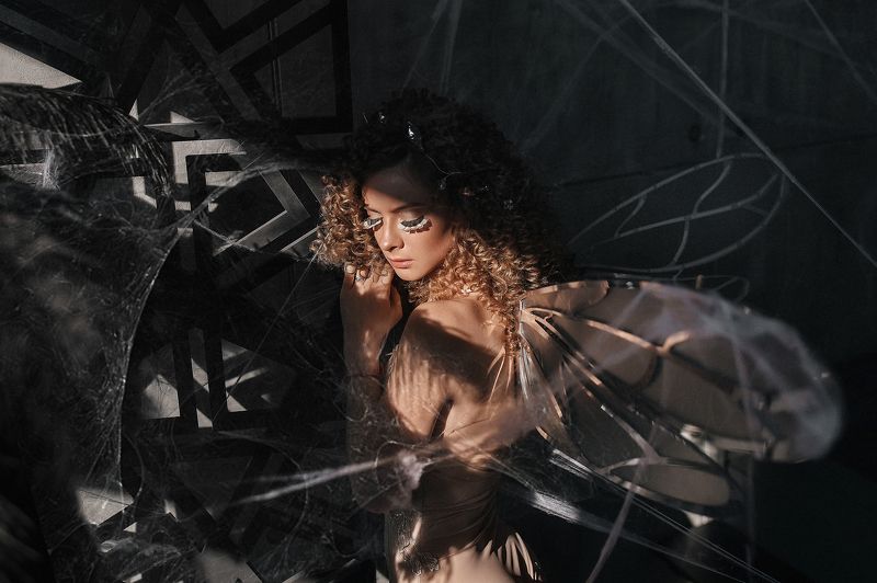 Мотылекphoto preview