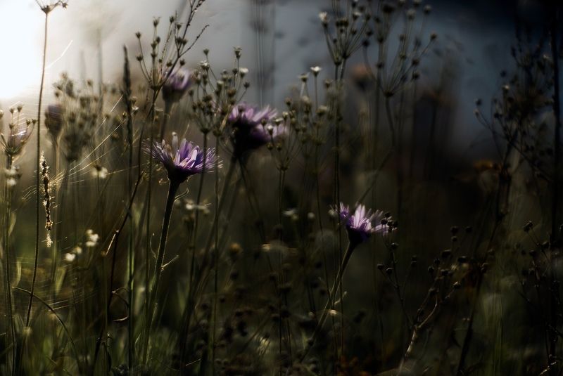 В ожидании...photo preview