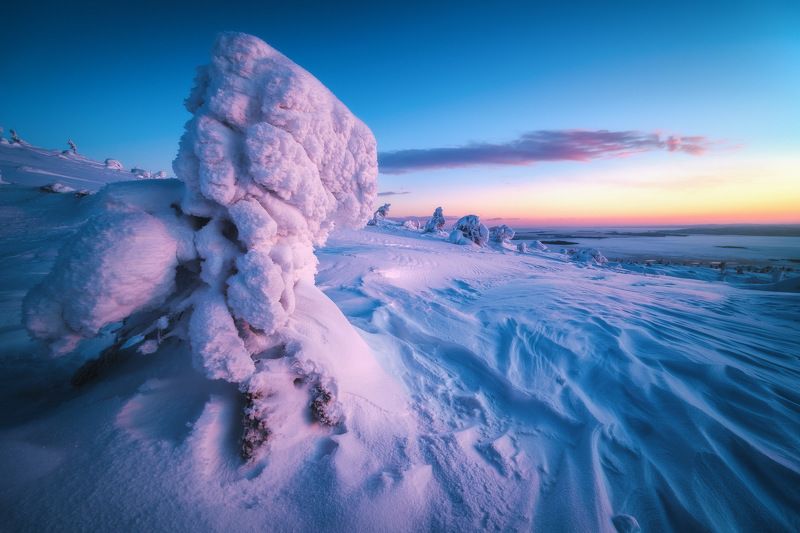 россия, кольский полуостров, мурманская область, кандалакша, природа, пейзаж, зима, горы, сопка, снег, закат, лесотундра, белое море Русский Север фото превью