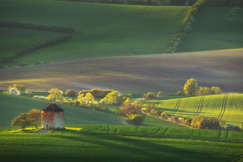 пейзаж, природа, поле, моравия, чехия, мельница Kunkovice фото превью