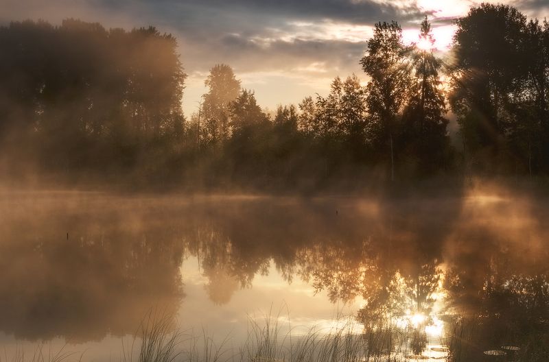 утро, рассвет, туман, болото, природа, пейзаж Волшебство рассвета)photo preview