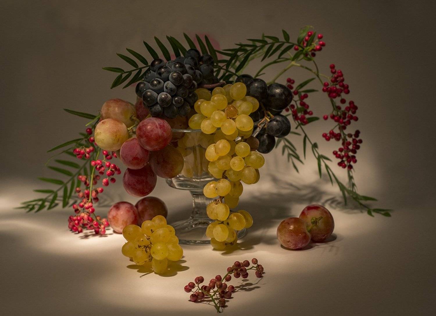 grape,red,green,light,wine,, mehmet enver karanfil