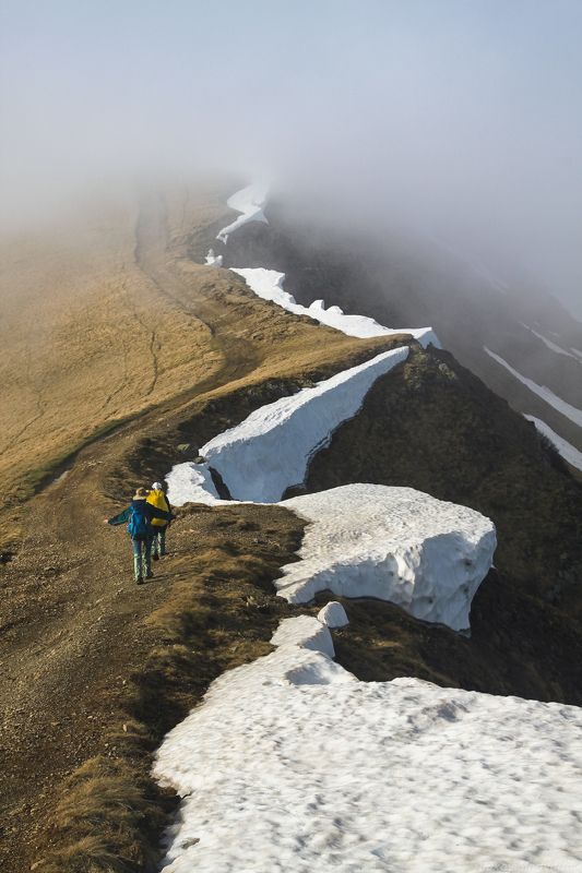 карпаты, свидовец, весна, май, зеленый, полонина, туристы, догяска, геришаска Снежный змейphoto preview