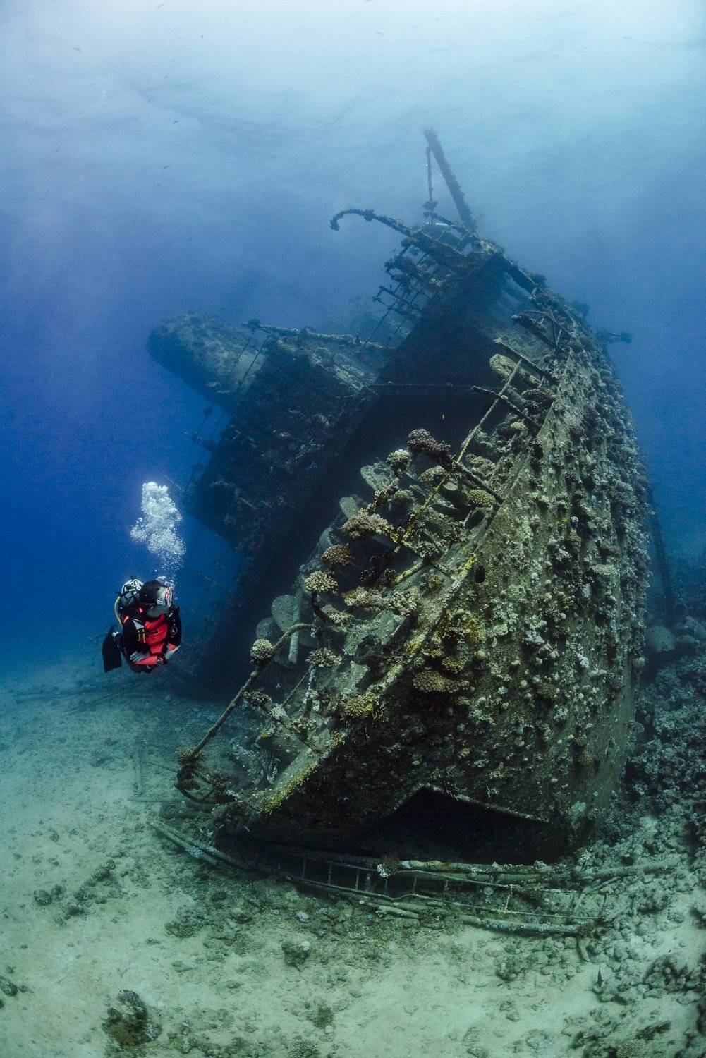 Giannis D. Автор: Nadya Kulagina underwater, wreck, underwater photography, Giannis D, Red Sea, Nadya Kulagina