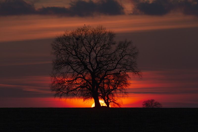 Закатphoto preview