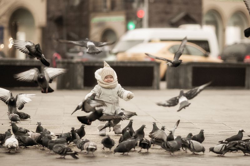 Гоняя голубейphoto preview