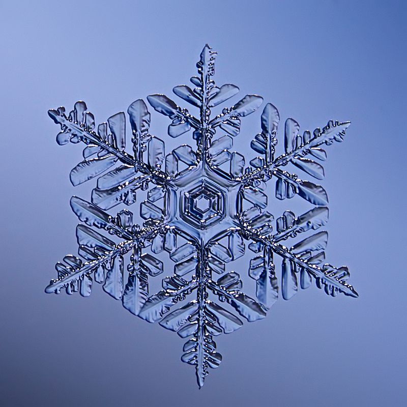 снег, снежинка, снежинки, макро, кристалл Мартовский снегphoto preview