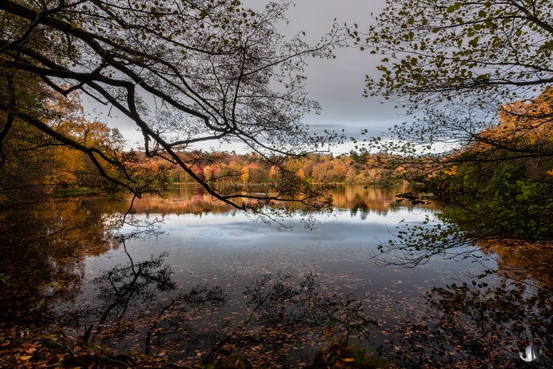 autumn in sussexphoto preview