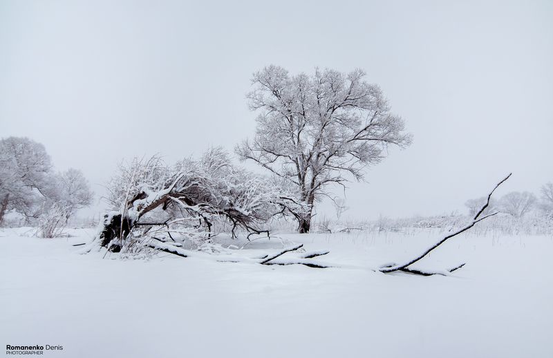 Зимние безмолвиеphoto preview