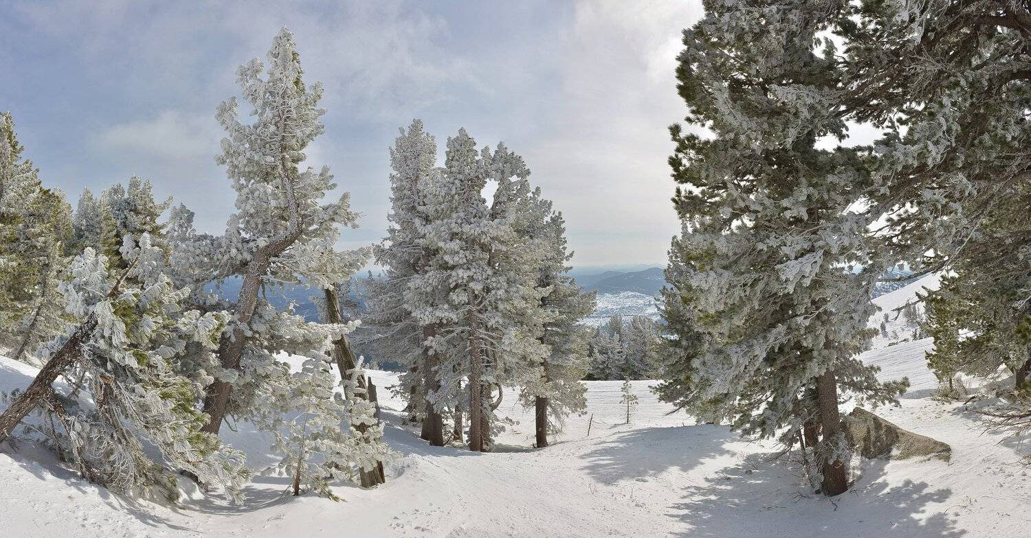 , Сергей Седов