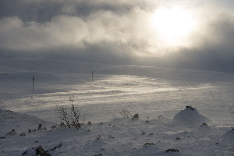 териберка, ветер, метель ***photo preview