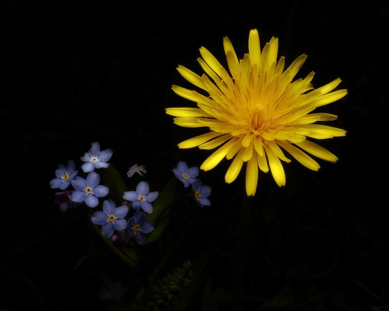 Солнце и звездыphoto preview