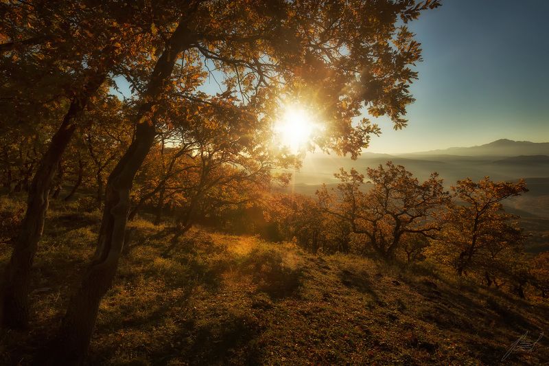 Золото Адыгеи.photo preview