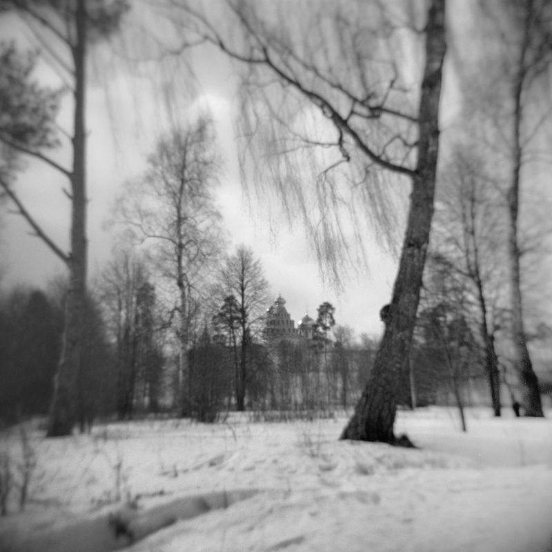 hоlga пейзаж весна парк \