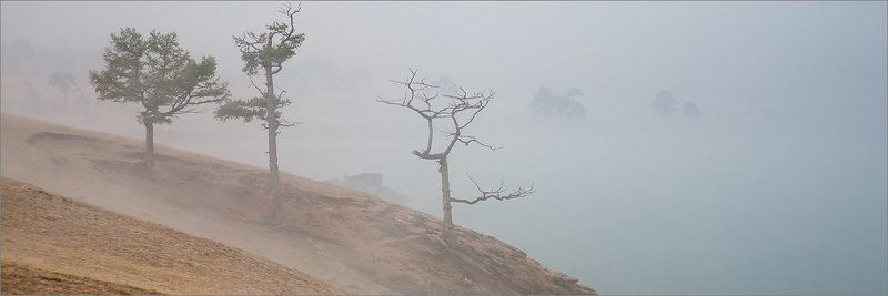 vensk, ольхон, байкал Туманное утро фото превью