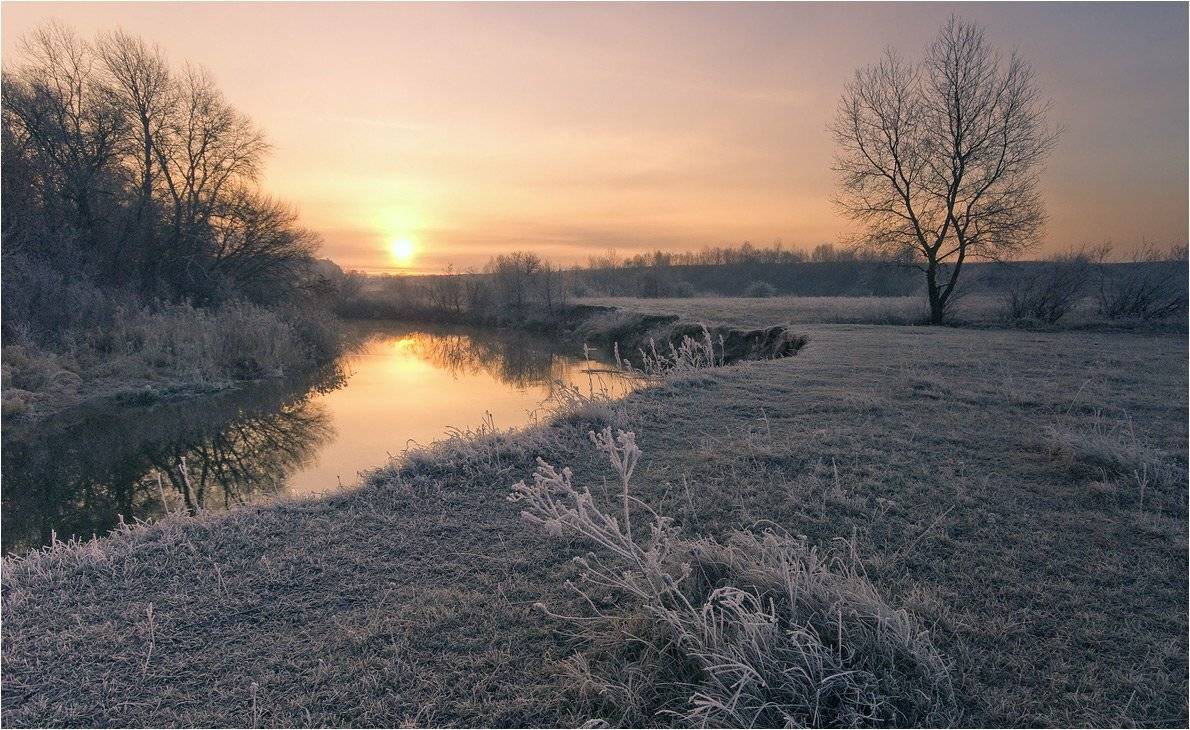 , Николай Шахманцир