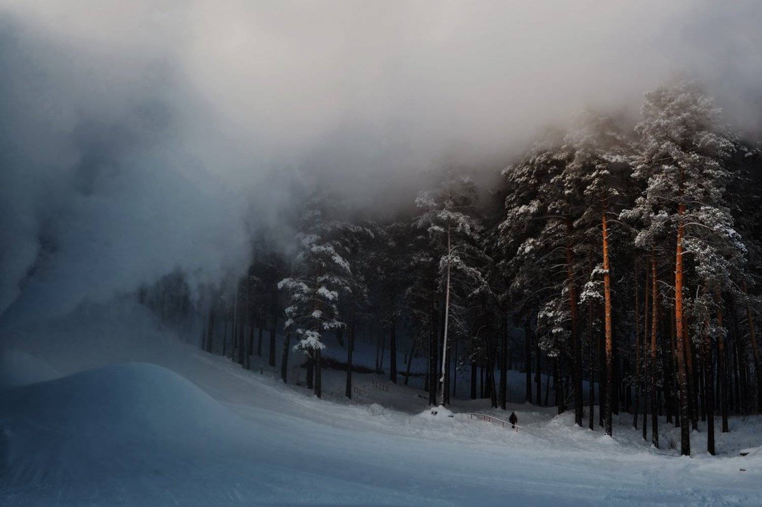 Там, где рождается снег. Автор: Олег Пожарков , Олег Пожарков