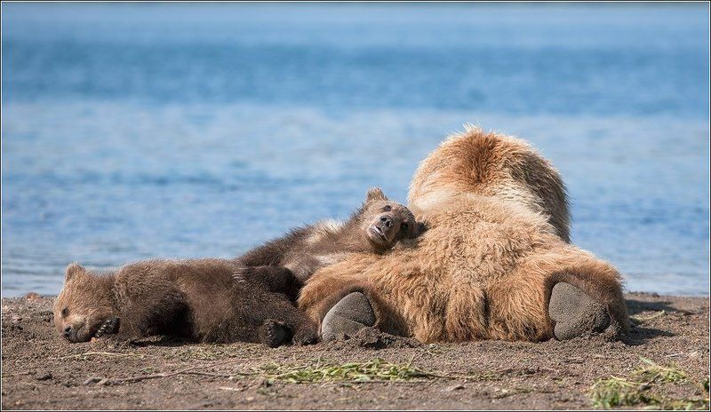 Про кайфphoto preview