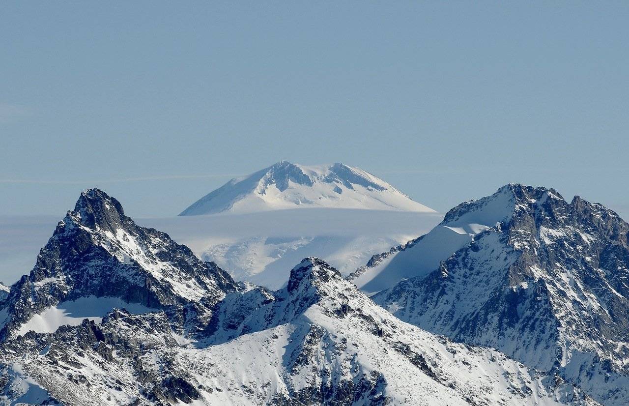 , максим куташев