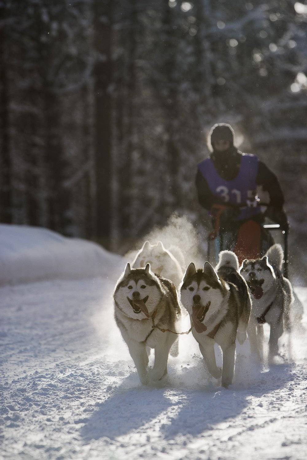 ***. Автор: Бамбизов Андрей , Бамбизов Андрей
