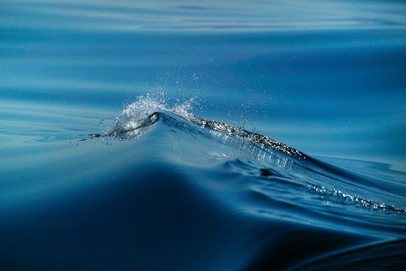 Водаphoto preview