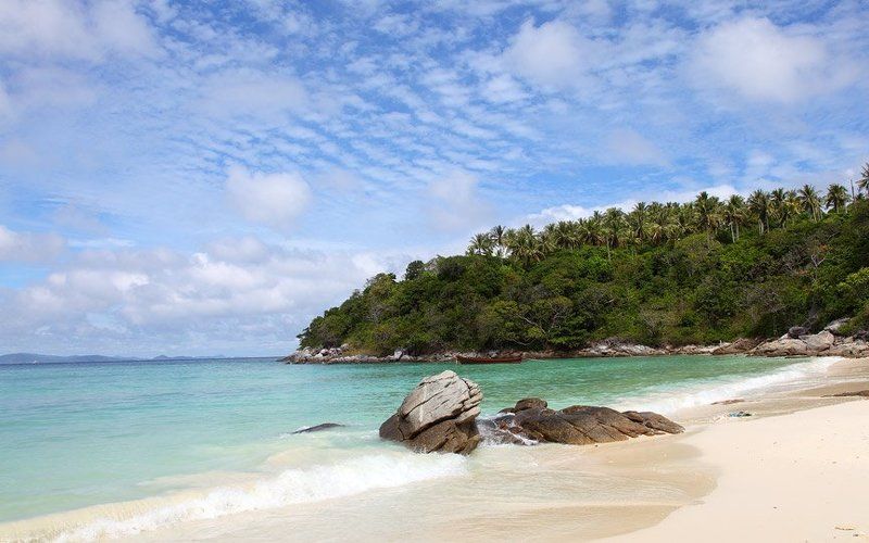 Рачаphoto preview