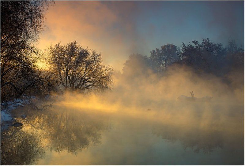 По солнечным тропам волшебной рекиphoto preview