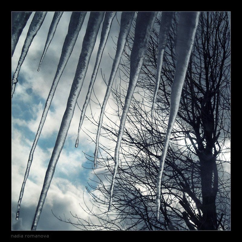 winter bitesphoto preview