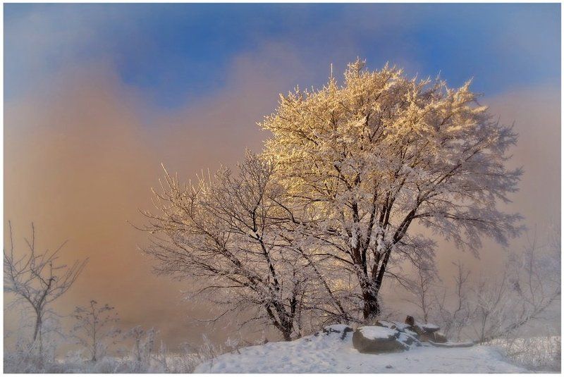 Аллегро ЗИМЫphoto preview