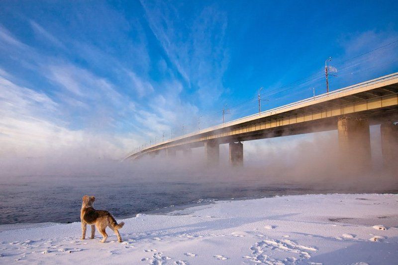 Первый раз увидел Енисейphoto preview