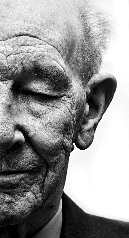 портретphoto preview