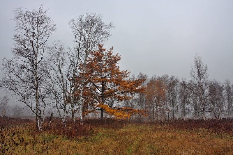 Хмурое утроphoto preview