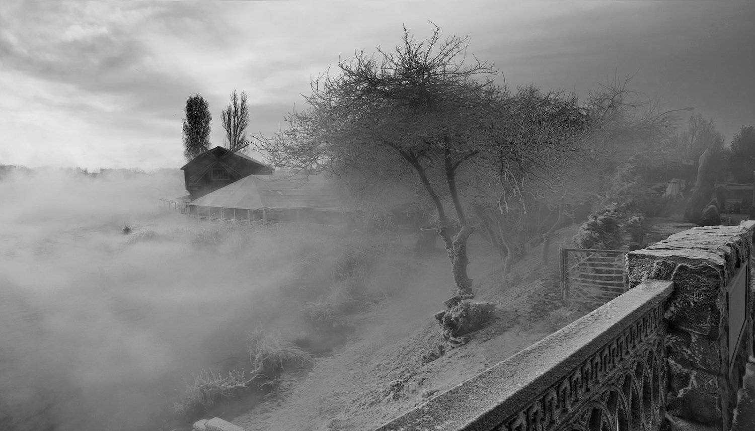 город, парк, зима, ФЁДОР