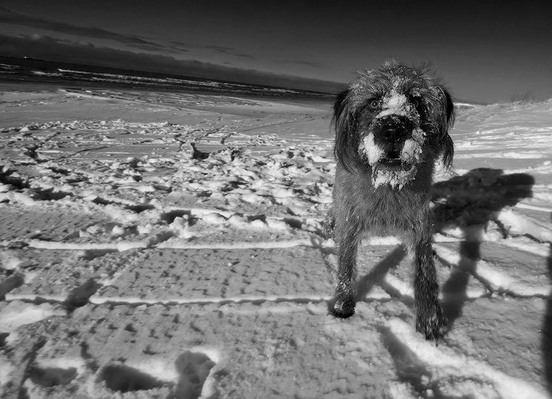 А тебе чего ?photo preview