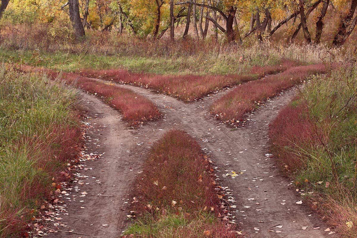 Куда пойти.... Автор: Качурин Алексей , Качурин Алексей