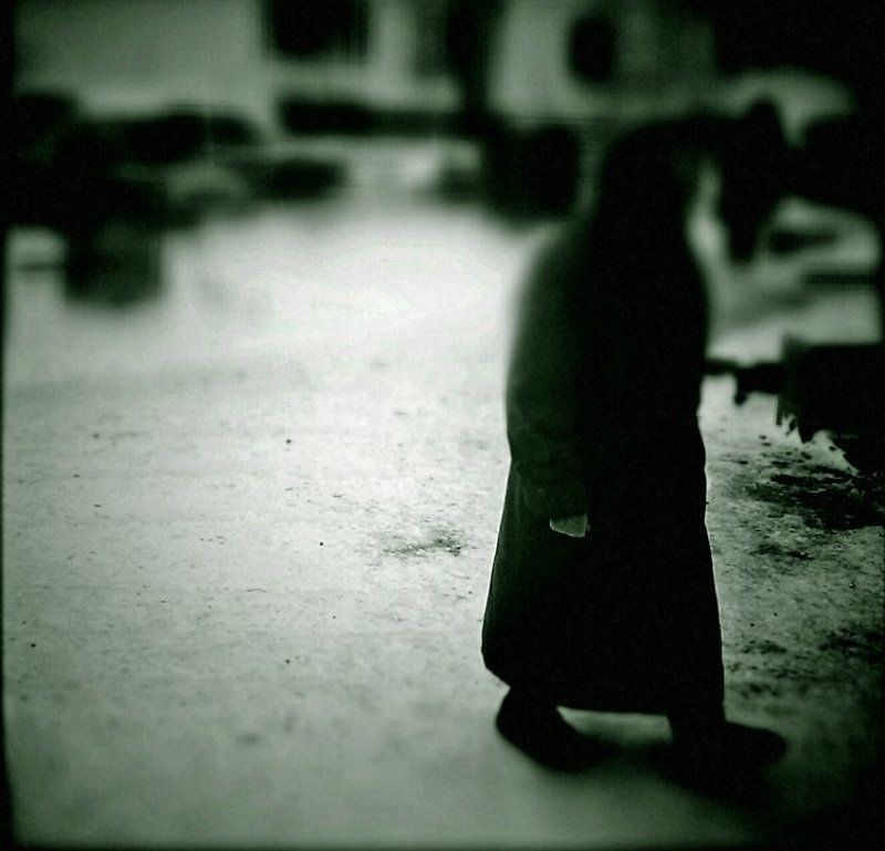 Татьянин деньphoto preview