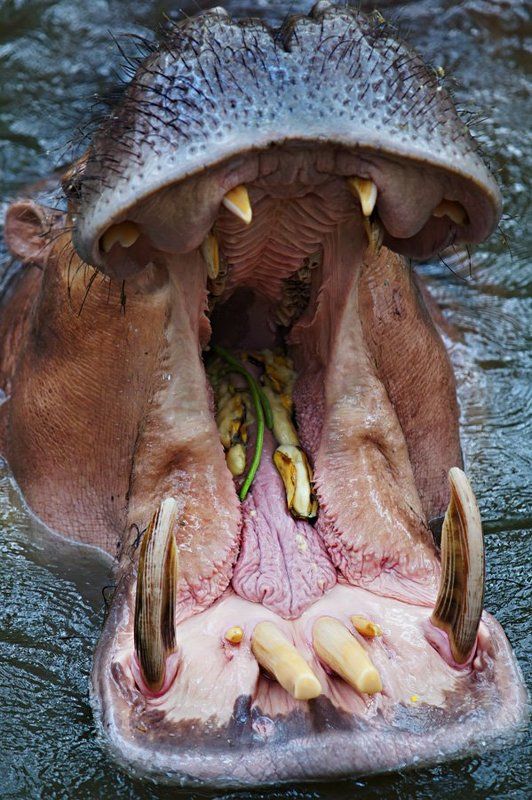 Порталphoto preview