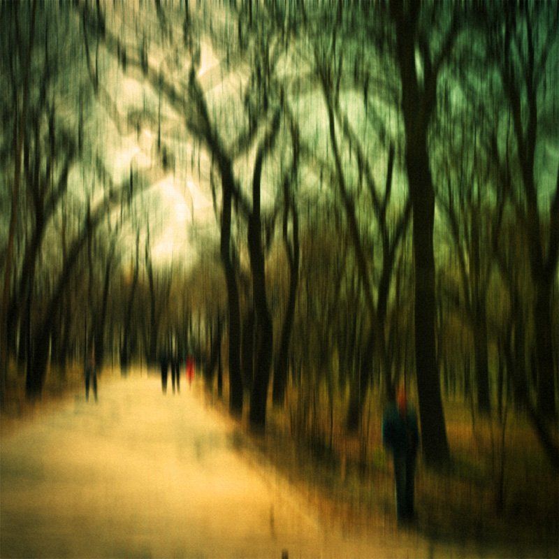 фантастический, лес Fancy Forest фото превью