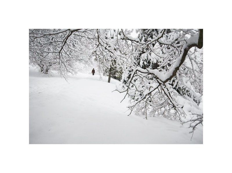 природа, люди, жанр, человек затерянный мирphoto preview