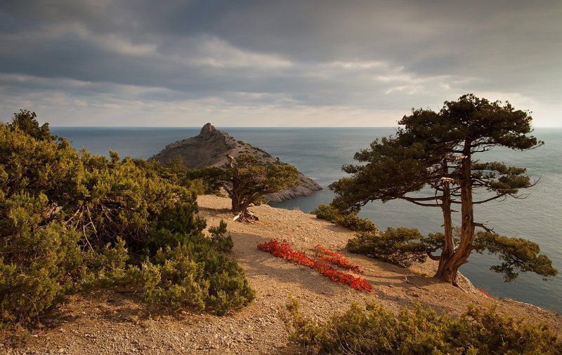 крым,  небо, облака, осень, пейзаж, природа, море, новый свет, мыс, Крымский пейзаж. фото превью