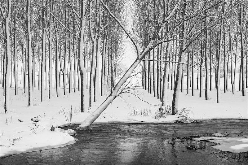 Упалphoto preview