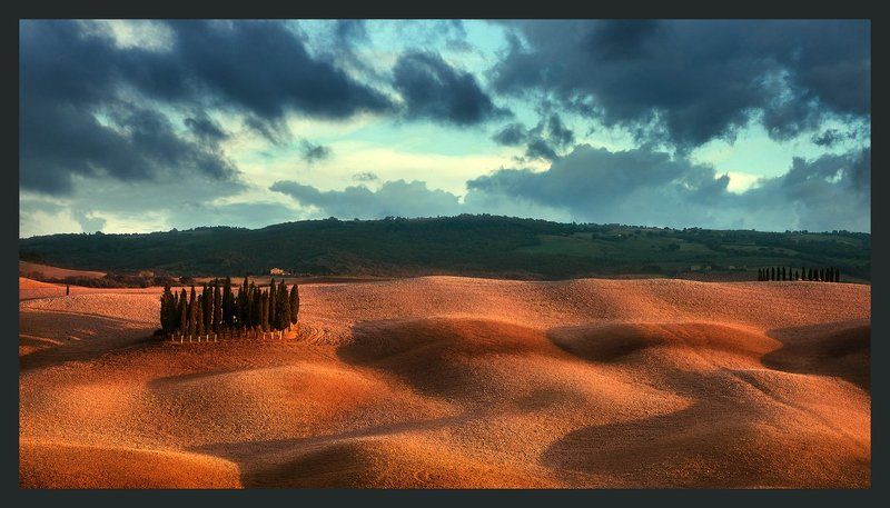 пейзаж, тоскана, кипарис Стражи Тосканыphoto preview