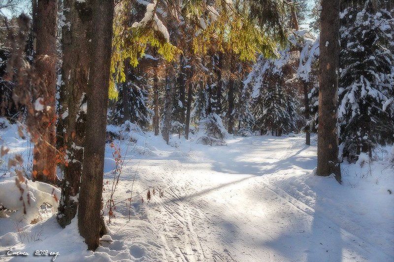 зима, природа, снег, зарисовка На лыжне..... фото превью