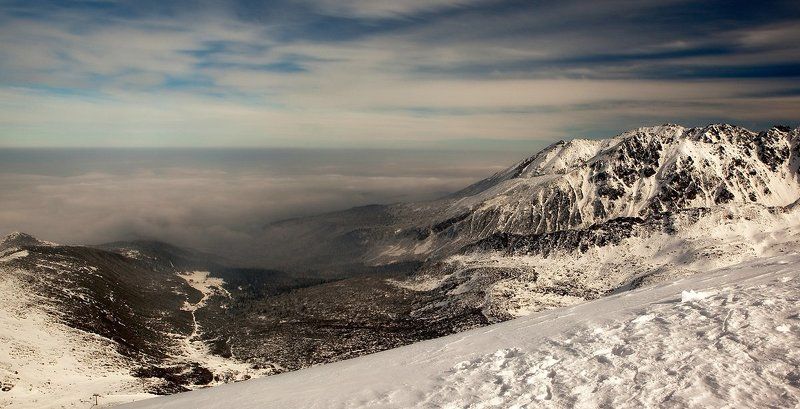 Прогулка.photo preview