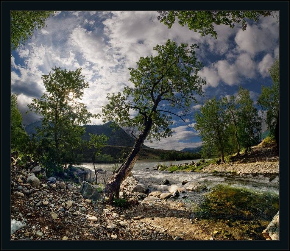 алтай, катунь, ильгемень, речка, горы, дерево, ярославский, виталий, Виталий из Н-ска