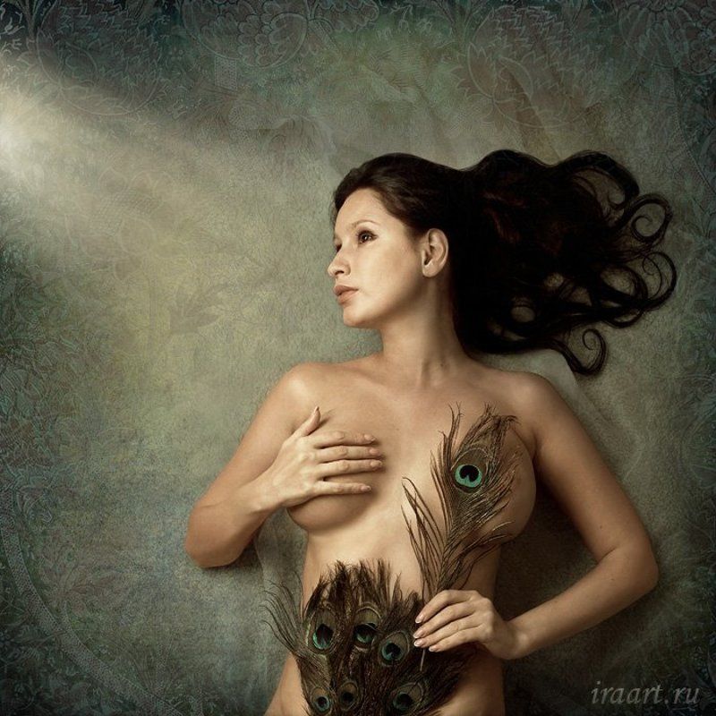 Паваphoto preview